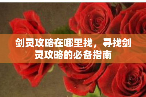 剑灵攻略在哪里找,寻找剑灵攻略的必备指南 剑灵攻略在哪里找,寻找剑灵攻略的必备指南