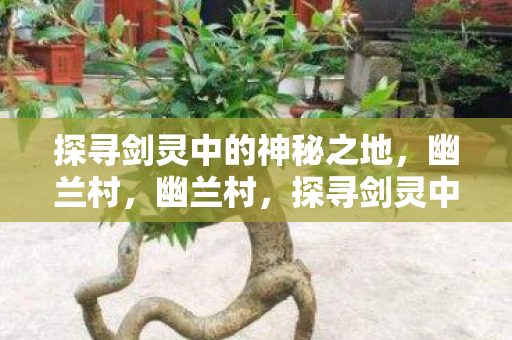 探寻剑灵中的神秘之地,幽兰村,幽兰村,探寻剑灵中的神秘之地 探寻剑灵中的神秘之地,幽兰村,幽兰村,探寻剑灵中的神秘之地