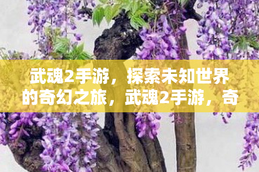 武魂2手游,探索未知世界的奇幻之旅,武魂2手游,奇幻之旅,探索未知世界 武魂2手游,探索未知世界的奇幻之旅,武魂2手游,奇幻之旅,探索未知世界