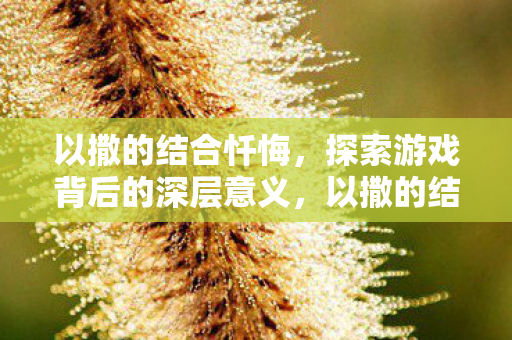 以撒的结合忏悔，探索游戏背后的深层意义，以撒的结合忏悔，探索游戏背后的深层意义与启示