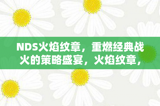 NDS火焰纹章，重燃经典战火的策略盛宴，火焰纹章，重燃经典战火的策略盛宴