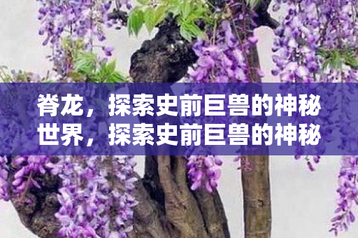 脊龙,探索史前巨兽的神秘世界,探索史前巨兽的神秘世界,脊龙揭秘 脊龙,探索史前巨兽的神秘世界,探索史前巨兽的神秘世界,脊龙揭秘