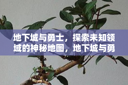 地下城与勇士探索神秘地图图片