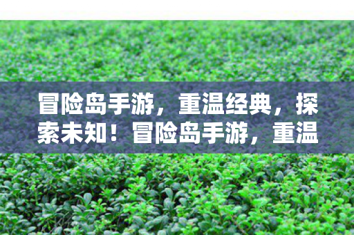 冒险岛手游图片