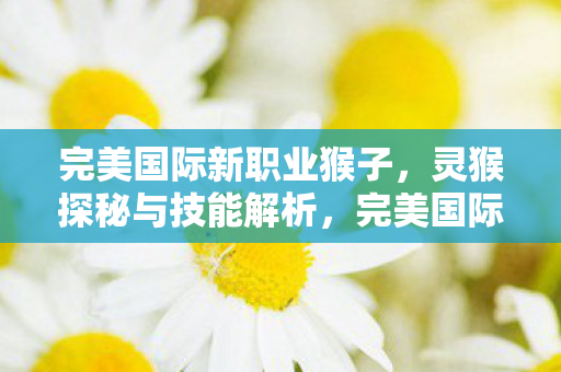 完美国际新职业猴子,灵猴探秘与技能解析,完美国际新职业猴子,灵猴探秘与技能解析 完美国际新职业猴子,灵猴探秘与技能解析,完美国际新职业猴子,灵猴探秘与技能解析