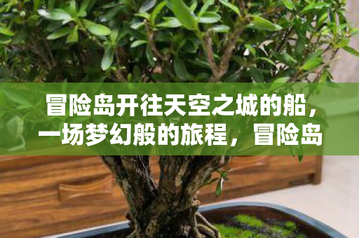 冒险岛开往天空之城的船,一场梦幻般的旅程,冒险岛,梦幻之旅,驶向天空之城的船 冒险岛开往天空之城的船,一场梦幻般的旅程,冒险岛,梦幻之旅,驶向天空之城的船
