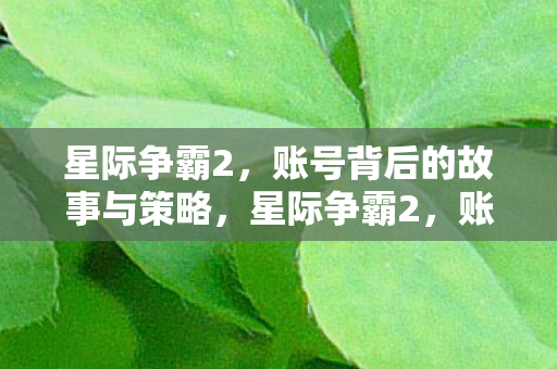 星际争霸2,账号背后的故事与策略,星际争霸2,账号背后的故事与策略揭秘 星际争霸2,账号背后的故事与策略,星际争霸2,账号背后的故事与策略揭秘