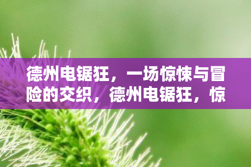 德州电锯狂，一场惊悚与冒险的交织，德州电锯狂，惊悚与冒险的交织