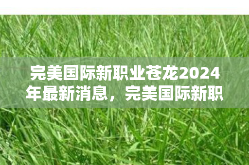 完美国际新职业苍龙2024年最新消息,完美国际新职业苍龙2024年最新动态揭晓 完美国际新职业苍龙2024年最新消息,完美国际新职业苍龙2024年最新动态揭晓