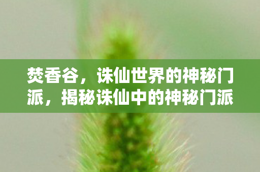 揭秘诛仙中的神秘门派图片