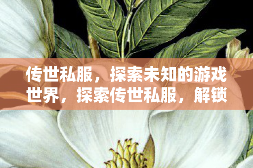 传世私服,探索未知的游戏世界,探索传世私服,解锁未知的游戏世界 传世私服,探索未知的游戏世界,探索传世私服,解锁未知的游戏世界