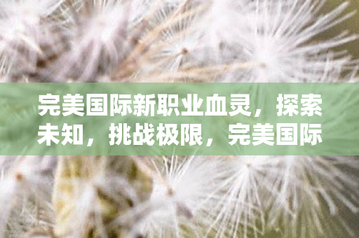 完美国际新职业血灵,探索未知,挑战极限,完美国际新职业血灵,探索未知,挑战极限 完美国际新职业血灵,探索未知,挑战极限,完美国际新职业血灵,探索未知,挑战极限