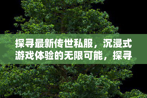 探寻最新传世私服,沉浸式游戏体验的无限可能,探寻最新传世私服,沉浸式游戏体验的无限可能 探寻最新传世私服,沉浸式游戏体验的无限可能,探寻最新传世私服,沉浸式游戏体验的无限可能
