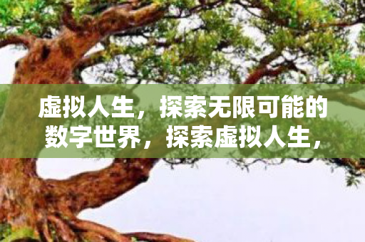 虚拟人生,探索无限可能的数字世界,探索虚拟人生,数字世界的无限可能 虚拟人生,探索无限可能的数字世界,探索虚拟人生,数字世界的无限可能