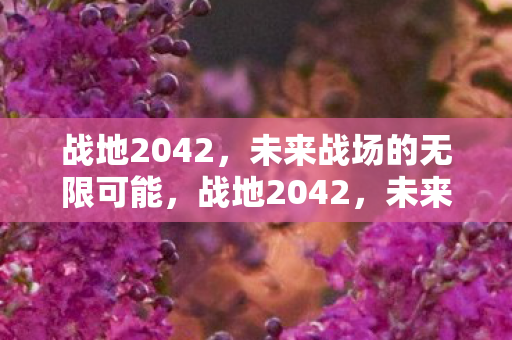 战地2042,未来战场的无限可能,战地2042,未来战场的无限可能 战地2042,未来战场的无限可能,战地2042,未来战场的无限可能