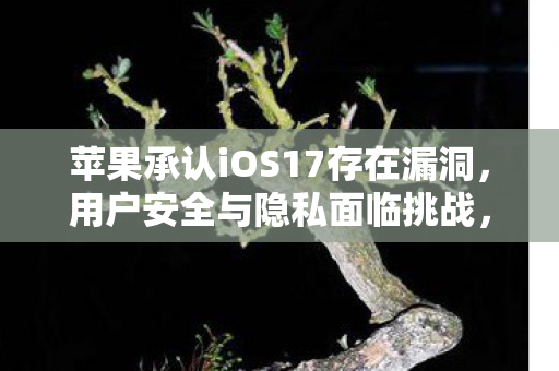 苹果承认iOS17存在漏洞,用户安全与隐私面临挑战,苹果iOS17漏洞曝光,用户安全与隐私受威胁 苹果承认iOS17存在漏洞,用户安全与隐私面临挑战,苹果iOS17漏洞曝光,用户安全与隐私受威胁
