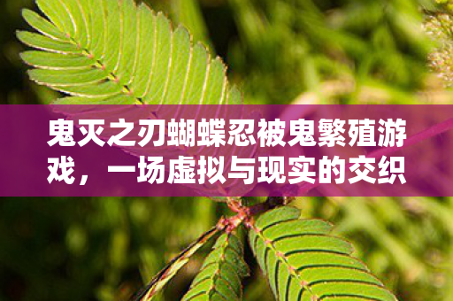 鬼灭之刃蝴蝶忍被鬼繁殖游戏,一场虚拟与现实的交织,鬼灭之刃蝴蝶忍遭鬼繁殖游戏,虚拟与现实交织的惊悚之旅 鬼灭之刃蝴蝶忍被鬼繁殖游戏,一场虚拟与现实的交织,鬼灭之刃蝴蝶忍遭鬼繁殖游戏,虚拟与现实交织的惊悚之旅