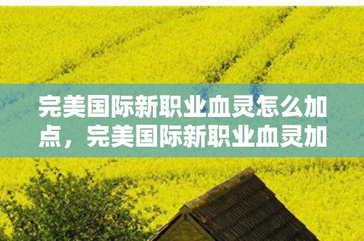 完美国际新职业血灵怎么加点,完美国际新职业血灵加点攻略 完美国际新职业血灵怎么加点,完美国际新职业血灵加点攻略