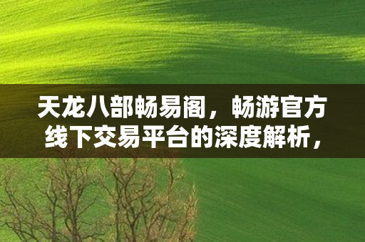 畅游官方线下交易平台的深度解析图片