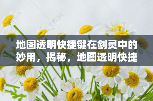 地图透明快捷键在剑灵中的神奇运用图片