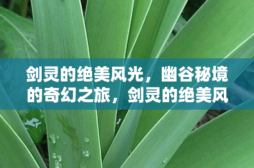 幽谷秘境的奇幻之旅图片