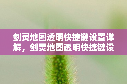 剑灵地图透明快捷键设置全解析图片