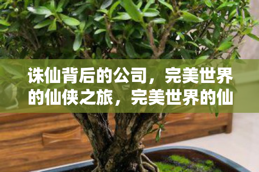 诛仙背后的公司，完美世界的仙侠之旅，完美世界的仙侠之旅，揭秘诛仙背后的公司