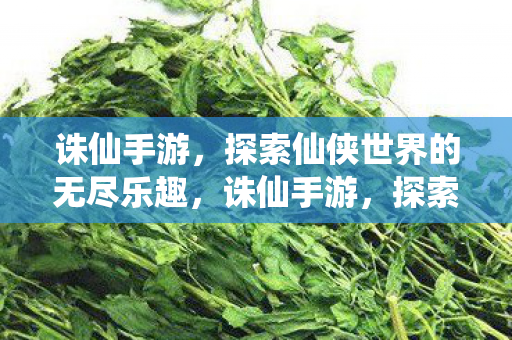 探索仙侠世界的无尽乐趣图片