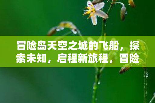 冒险岛天空之城的飞船,探索未知,启程新旅程,冒险岛天空之城飞船,启程新旅程,探索未知领域 冒险岛天空之城的飞船,探索未知,启程新旅程,冒险岛天空之城飞船,启程新旅程,探索未知领域