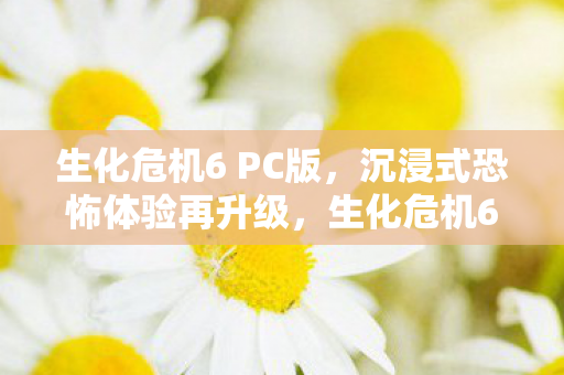生化危机6 PC版,沉浸式恐怖体验再升级,生化危机6PC版,沉浸式恐怖体验再升级 生化危机6 PC版,沉浸式恐怖体验再升级,生化危机6PC版,沉浸式恐怖体验再升级