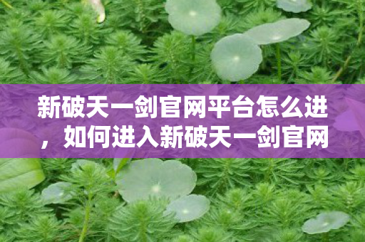 新破天一剑官网平台怎么进,如何进入新破天一剑官网平台? 新破天一剑官网平台怎么进,如何进入新破天一剑官网平台?