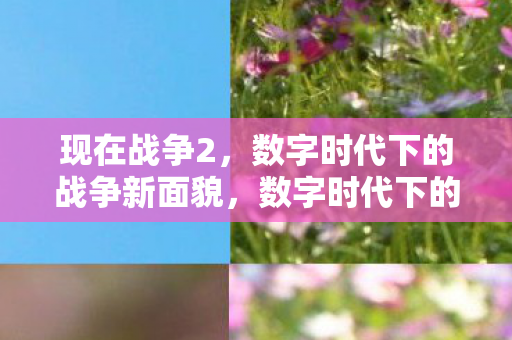 现在战争2,数字时代下的战争新面貌,数字时代下的战争新面貌,解读现在战争2 现在战争2,数字时代下的战争新面貌,数字时代下的战争新面貌,解读现在战争2