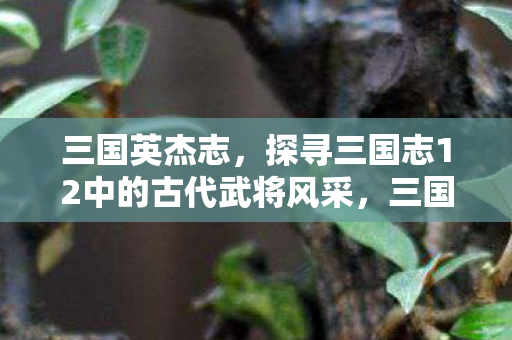 三国英杰志，探寻三国志12中的古代武将风采，三国英杰志，探寻三国志12中的古代武将风采