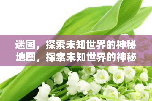 迷图,探索未知世界的神秘地图,探索未知世界的神秘地图,迷图 迷图,探索未知世界的神秘地图,探索未知世界的神秘地图,迷图