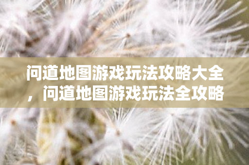 问道地图游戏玩法攻略大全,问道地图游戏玩法全攻略 问道地图游戏玩法攻略大全,问道地图游戏玩法全攻略