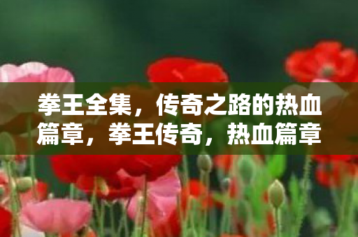 拳王全集,传奇之路的热血篇章,拳王传奇,热血篇章的征程 拳王全集,传奇之路的热血篇章,拳王传奇,热血篇章的征程