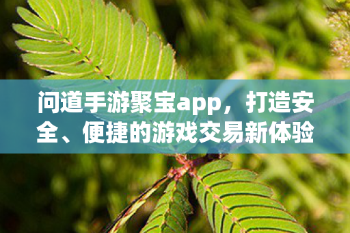 问道手游聚宝app,打造安全、便捷的游戏交易新体验,问道手游聚宝app,打造安全便捷的游戏交易新体验 问道手游聚宝app,打造安全、便捷的游戏交易新体验,问道手游聚宝app,打造安全便捷的游戏交易新体验