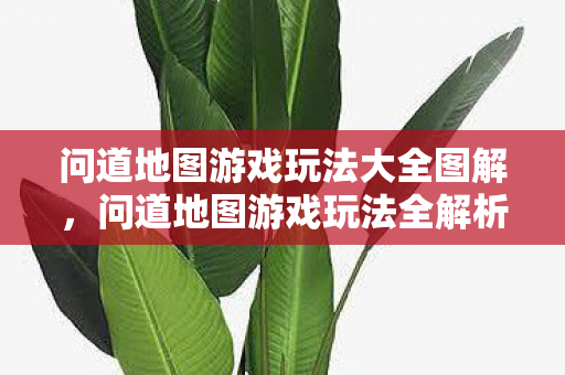 问道地图游戏玩法大全图解图片