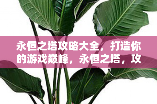 永恒之塔攻略大全，打造你的游戏巅峰，永恒之塔，攻略秘籍助你攀登游戏巅峰