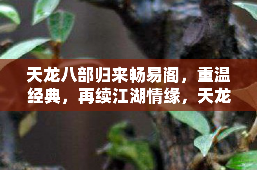 天龙八部归来畅易阁,重温经典,再续江湖情缘,天龙八部归来畅易阁,重温经典江湖情 天龙八部归来畅易阁,重温经典,再续江湖情缘,天龙八部归来畅易阁,重温经典江湖情