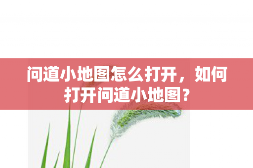 问道小地图怎么打开图片