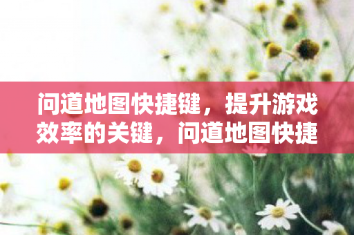 提升游戏效率的关键图片