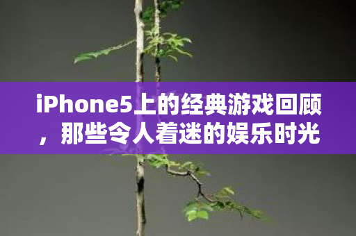 iPhone5上的经典游戏回顾,那些令人着迷的娱乐时光,回忆杀!iPhone5经典游戏重温,带你找回那些迷人的娱乐时光 iPhone5上的经典游戏回顾,那些令人着迷的娱乐时光,回忆杀!iPhone5经典游戏重温,带你找回那些迷人的娱乐时光