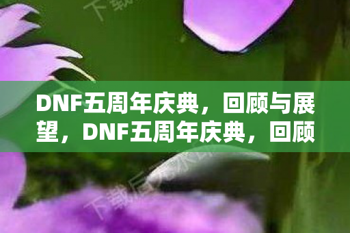 DNF五周年庆典，回顾与展望，DNF五周年庆典，回顾与未来展望