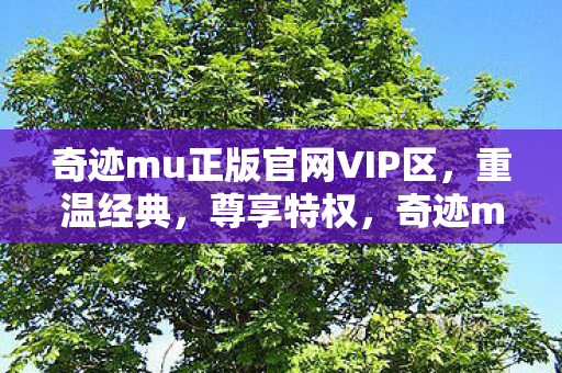 奇迹mu正版官网VIP区，重温经典，尊享特权，奇迹mu正版官网VIP区，重温经典，尊享特权