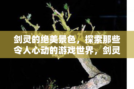 探索那些令人心动的游戏世界图片