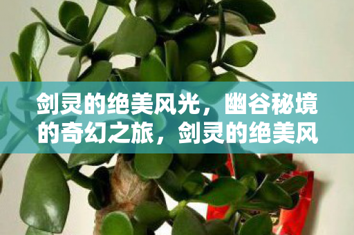 幽谷秘境的奇幻之旅图片