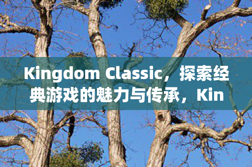 Kingdom Classic，探索经典游戏的魅力与传承，Kingdom Classic，探索经典游戏的魅力与传承