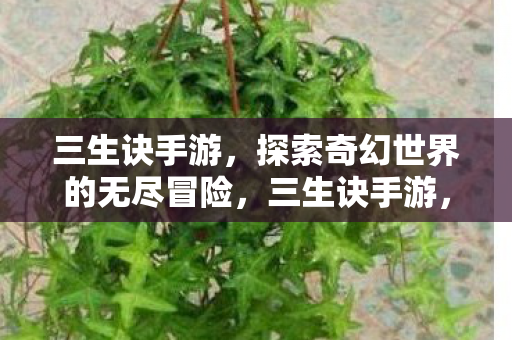 三生诀手游,探索奇幻世界的无尽冒险,三生诀手游,探索奇幻世界的无尽冒险之旅 三生诀手游,探索奇幻世界的无尽冒险,三生诀手游,探索奇幻世界的无尽冒险之旅