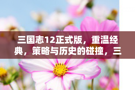 三国志12正式版,重温经典,策略与历史的碰撞,三国志12正式版,重温经典,策略与历史的碰撞 三国志12正式版,重温经典,策略与历史的碰撞,三国志12正式版,重温经典,策略与历史的碰撞